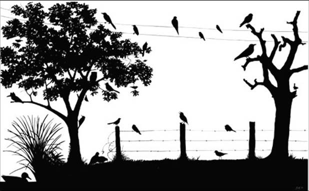 Bird Silhouettes